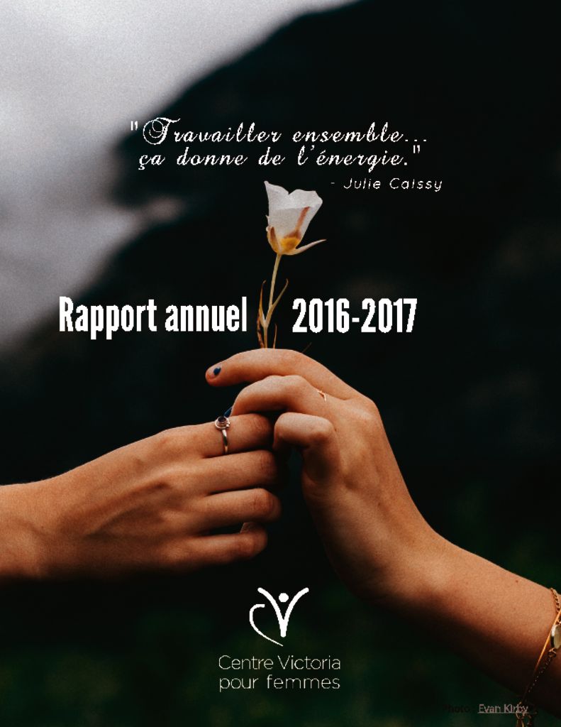 thumbnail of Rapport annuel 2016-2017